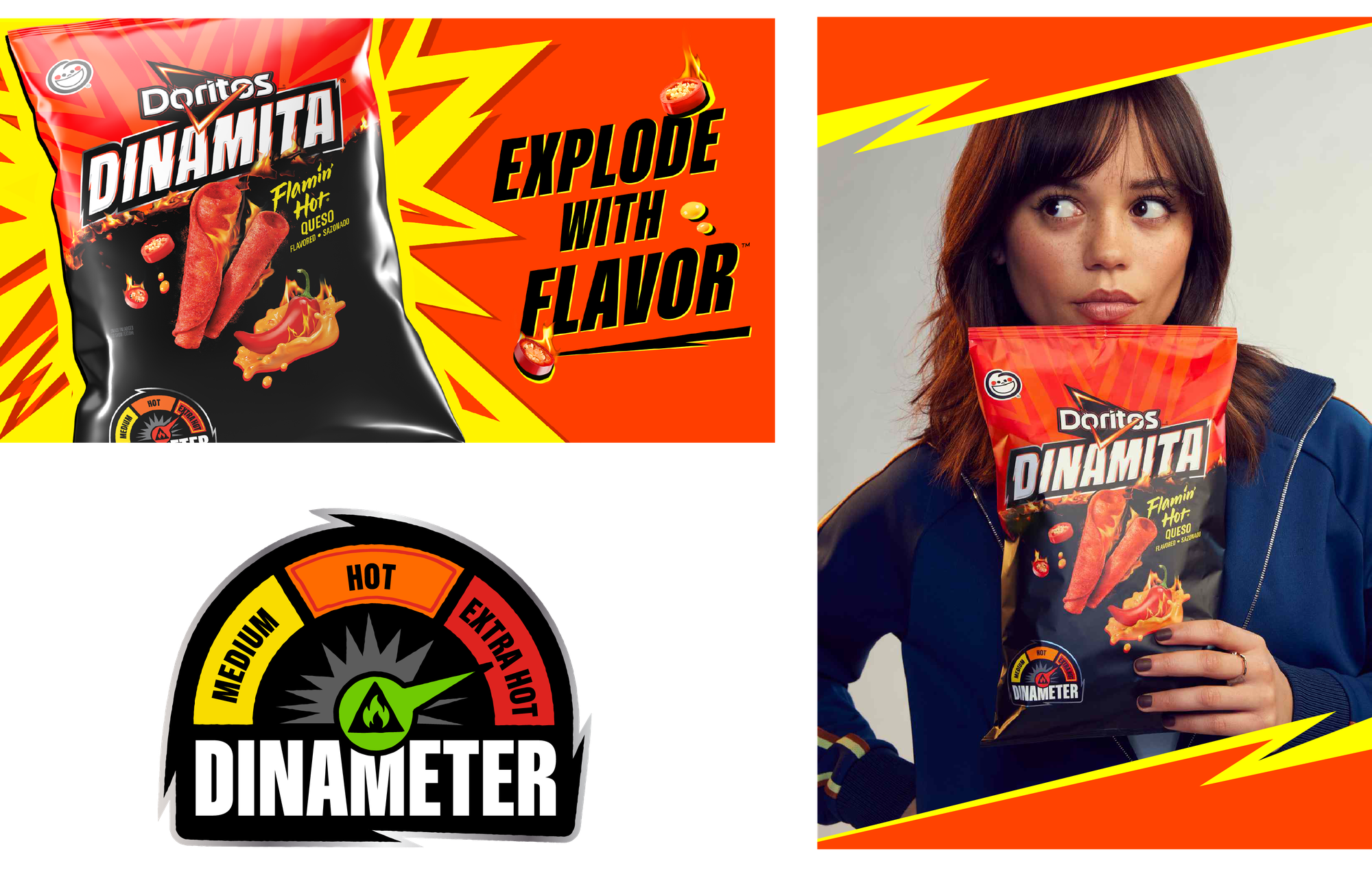Dinameter and Campaign